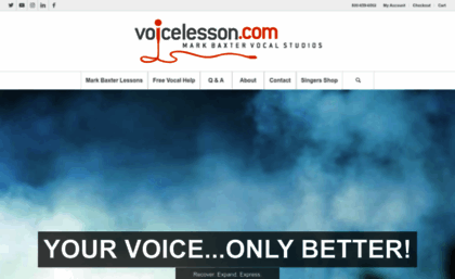 voicelesson.com