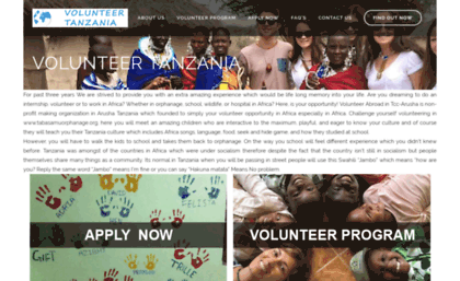 volunteer-tanzania.org