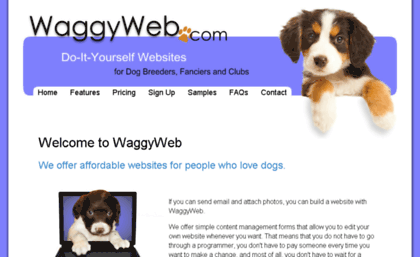 waggyweb.com