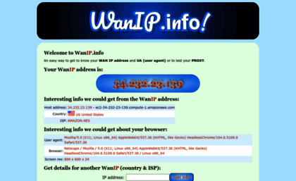 wanip.info