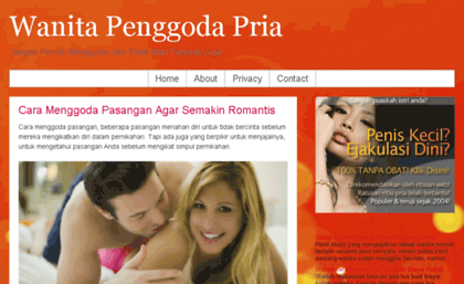 wanitapenggodapria.blogspot.com