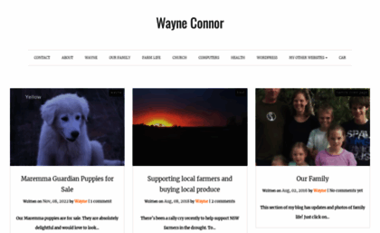 wayneconnor.com