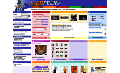 webfelin.com