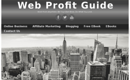 webprofitguide.com