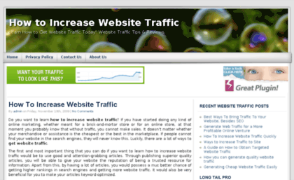 website-traffic-reviews.com