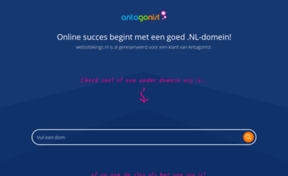 websitekings.nl