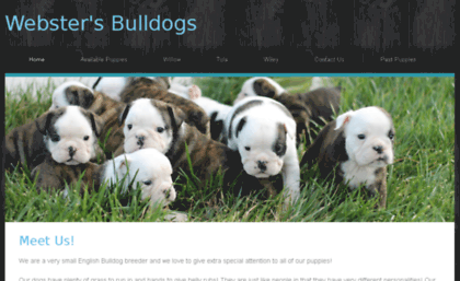 webstersbulldogs.com