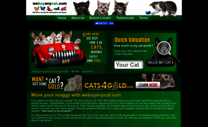 webuyanycat.com