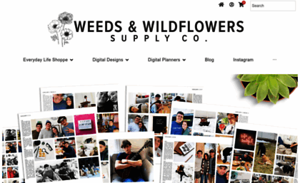weedsandwildflowersdesign.com