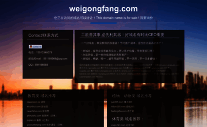 weigongfang.com