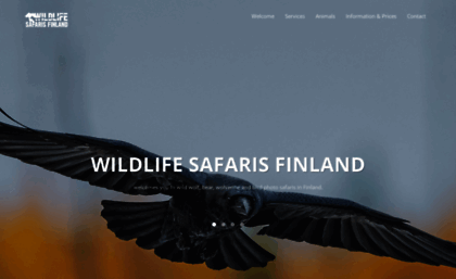 wildfinland.org