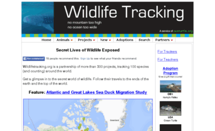 wildlifetracking.org