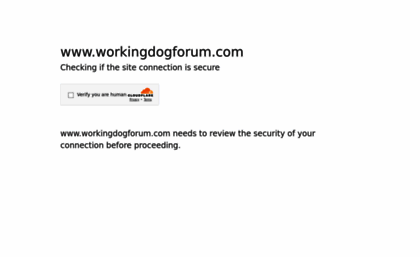 workingdogforum.com