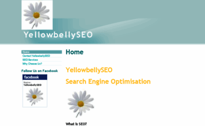 yellowbellyseo.com