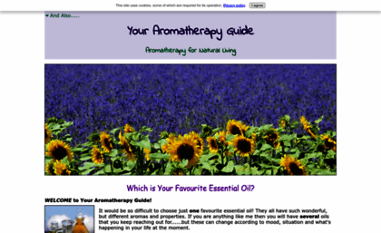 your-aromatherapy-guide.com