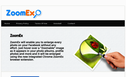 zoomex.net