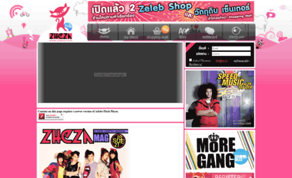 ztar.zheza.com